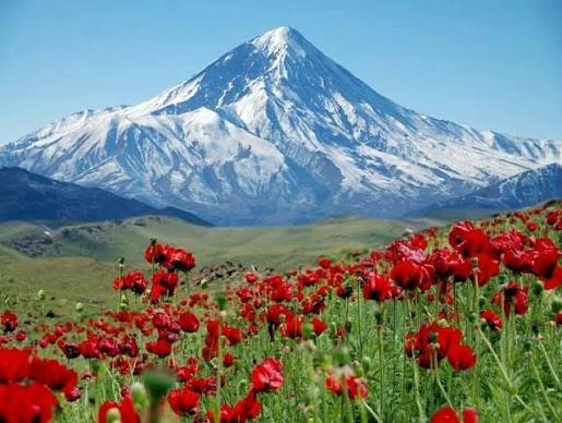 صنعت نوین هادی