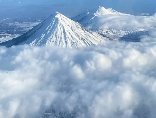 آگهی هادی1